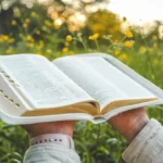 Andar Em Obediência