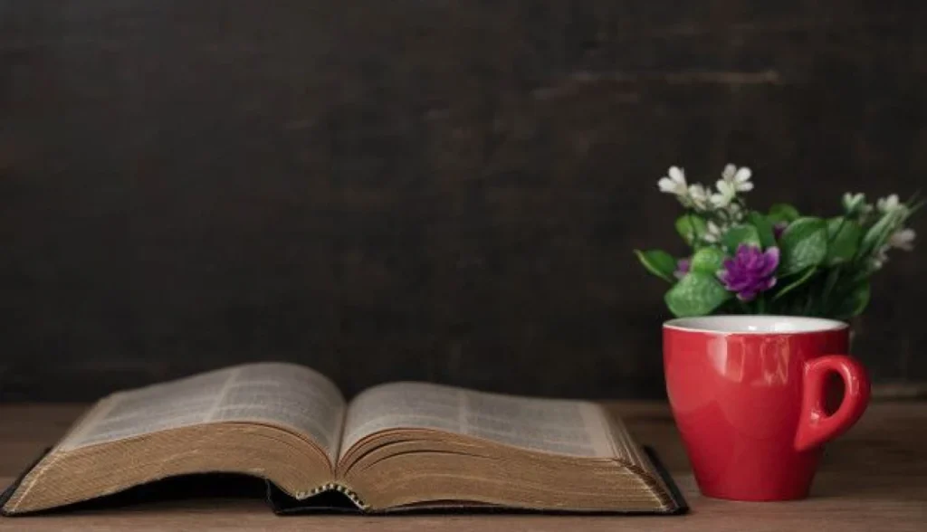 Como prosperar na vida