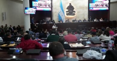 Criança lendo as Escrituras, ilustrando a nova lei de Honduras que aprova a Bíblia nas escolas públicas.