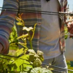 O Que A Biblia Diz Sobre