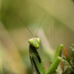 O Que A Biblia Diz Sobre