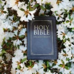 O Que A Biblia Diz Sobre