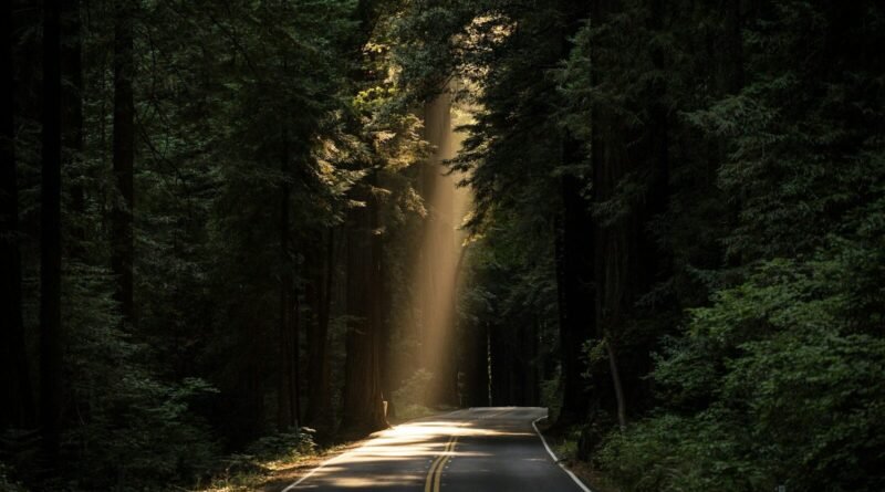 Quais são os atributos de Deus? Como é Deus? | Estudo Completo