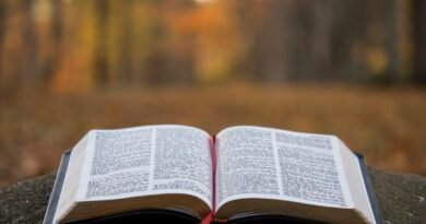 Jesus é Deus? Alguma vez Jesus afirmou ser Deus? | Estudo Completo