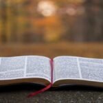 O Que A Biblia Diz Sobre