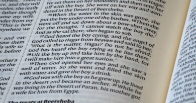 o que diz a bíblia sobre a virgem maria? estudo bíblico