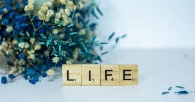 o que é vida abundante? estudo bíblico