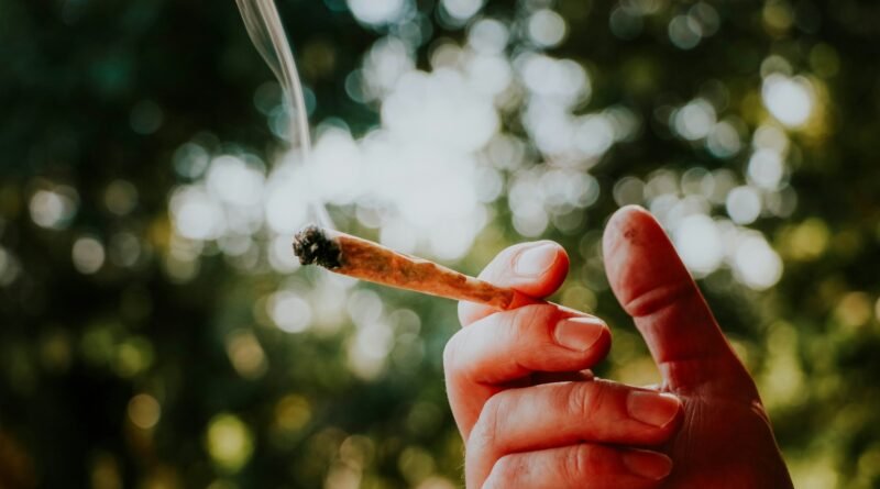 Maconha saúde mental