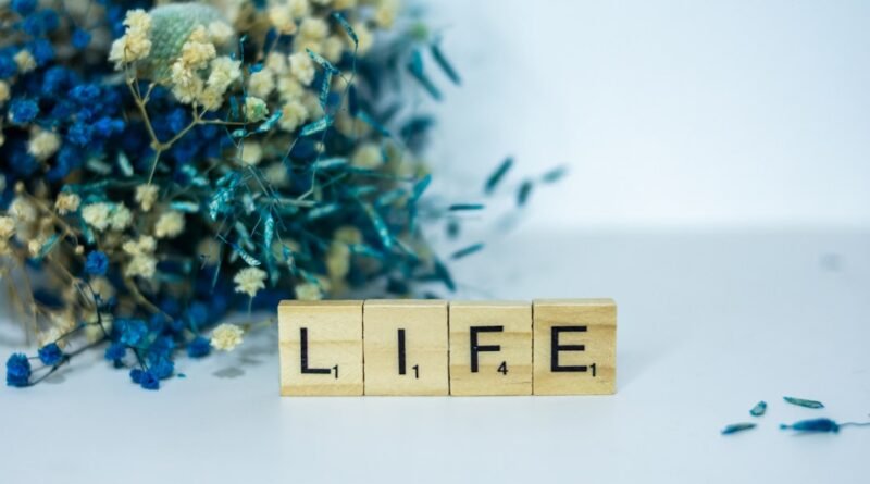 qual é o sentido da vida? estudo bíblico