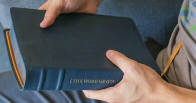 A coragem de ser vulnerável