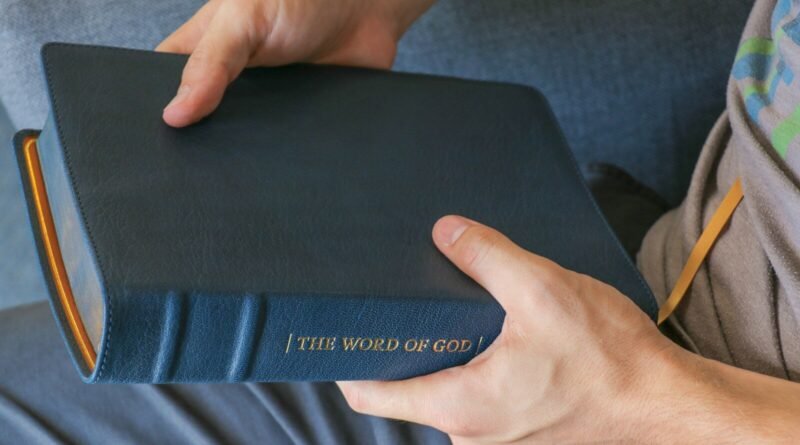 A coragem de ser vulnerável