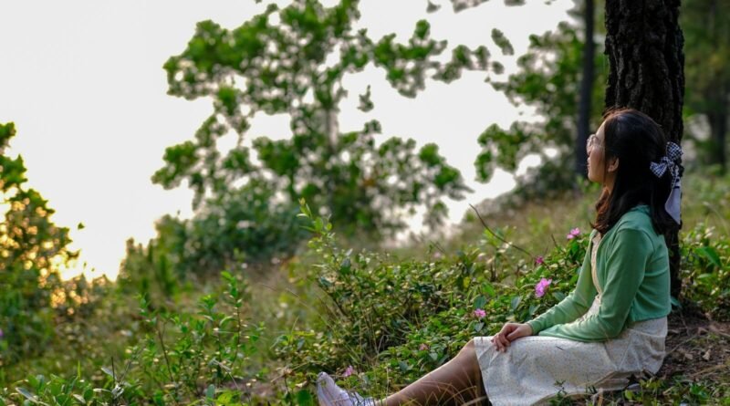 O perdão que liberta