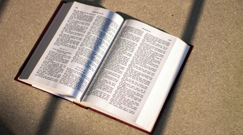 Como Deus pode ser bom se Ele afogou bebês no dilúvio de Noé? | Estudo Completo