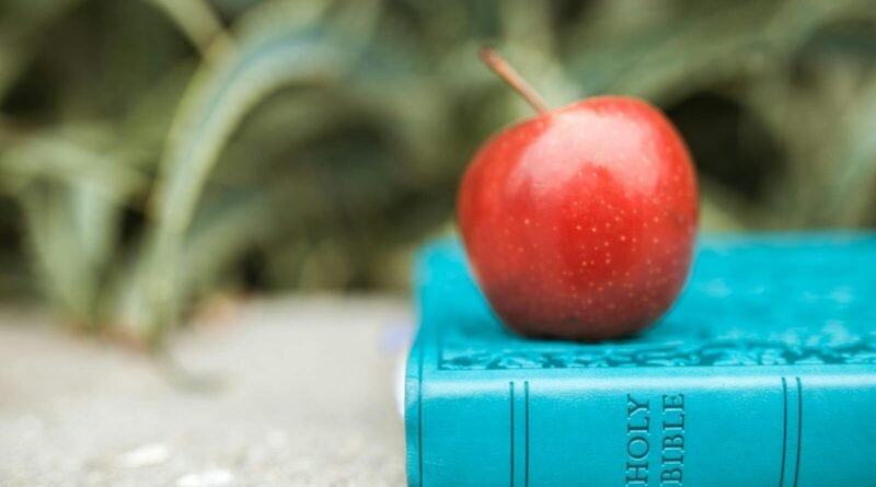 Se Deus sabia que Adão e Eva pecariam, por que os criou? | Estudo Completo