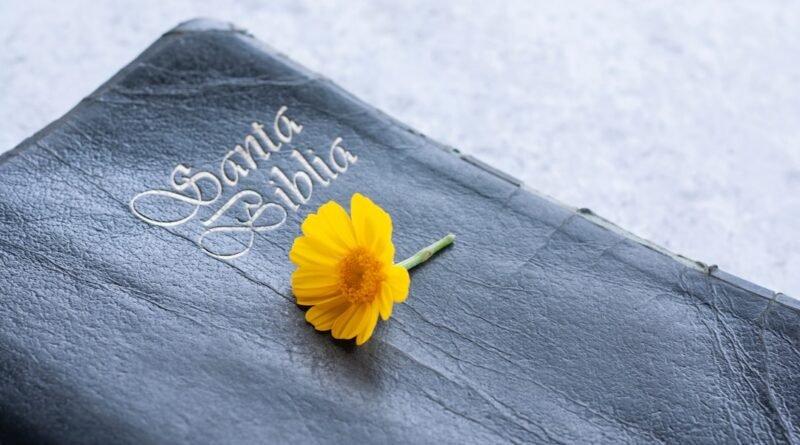 deus é mau? a bíblia é má? estudo bíblico