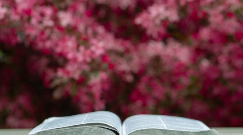 Deus ama a todos ou só aos Cristãos? | Estudo Completo