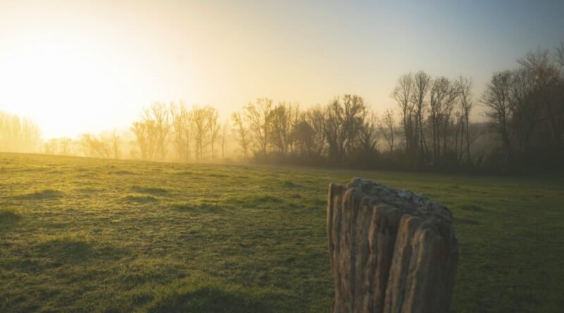 Como enfrentar o medo do amanhã