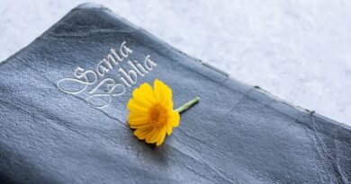 O que a Bíblia diz sobre ansiedade