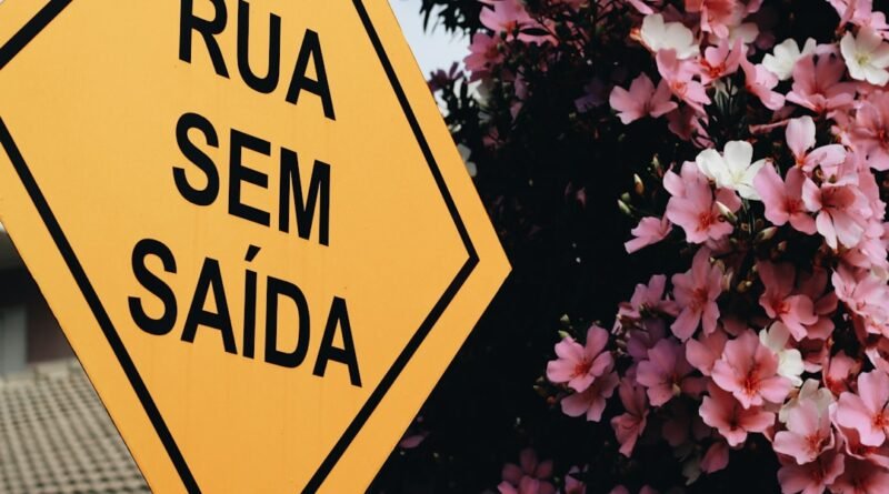 será que deus tem um senso de humor? estudo bíblico