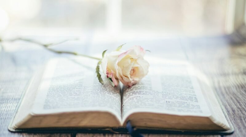 A esperança que renova a cada manhã