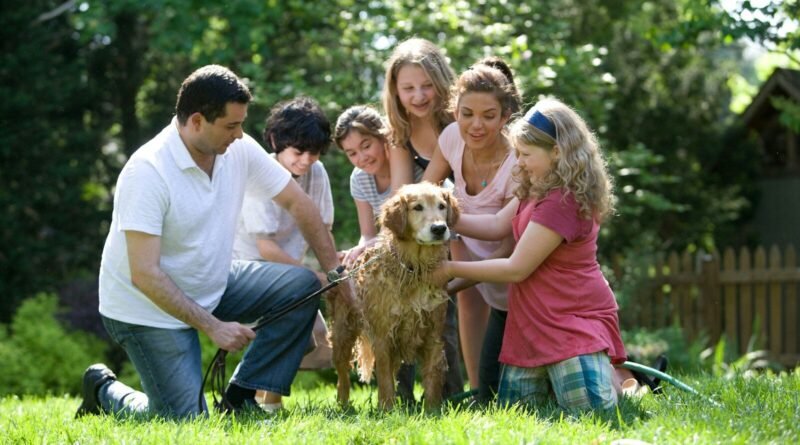 Família: como disciplinar com amor: o que a Bíblia diz
