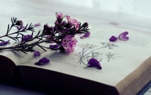É ‘o Servo Sofredor’ de Isaías 53 uma profecia sobre Jesus? | Estudo Completo É ‘o Servo Sofredor’ de Isaías 53 uma profecia sobre Jesus? | Estudo Completo
