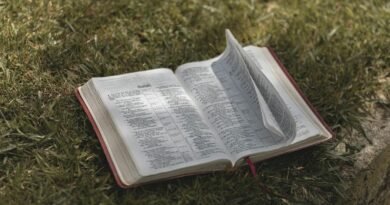 Por que Jesus ensinou em parábolas? | Estudo Completo