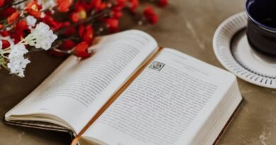 O que Jesus quer dizer quando diz: “Em verdade, em verdade”, nos evangelhos? | Estudo Completo