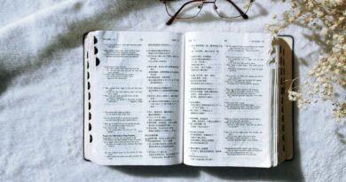 Quais são os diferentes nomes e títulos de Jesus Cristo? | Estudo Completo
