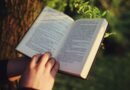Quais são o significado e importância da coroa de espinhos? | Estudo Completo