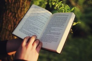 Quais são o significado e importância da coroa de espinhos? | Estudo Completo
