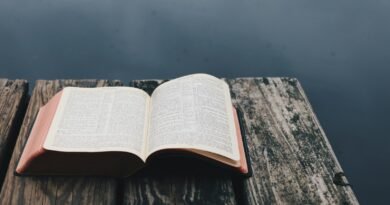 Como as coisas que Jesus disse e fez quando estava sozinho foram registradas nos Evangelhos? | Estudo Completo