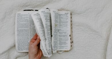 Quais são o significado e a importância da ascensão de Jesus Cristo? | Estudo Completo