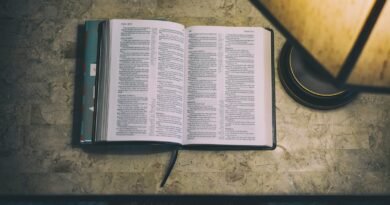 Qual é o significado da Encarnação de Cristo? | Estudo Completo