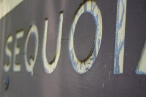 Qual é o significado da entrada triunfal? | Estudo Completo qual é o significado da entrada triunfal? estudo bíblico