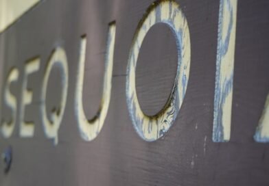 qual é o significado da entrada triunfal? estudo bíblico