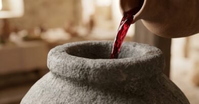 Jesus transformou a água em vinho ou suco de uva Estudo Completo