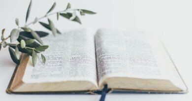 existe uma lista bíblica de dons espirituais estudo bíblico
