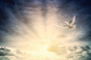 o espírito santo pode em algum tempo abandonar o cristão estudo bíblico