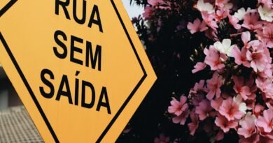 será que joão 3:5 ensina que o batismo é necessário para a salvação estudo bíblico