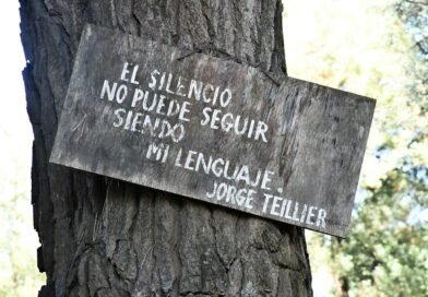 o que significa ser salvo pela graça estudo bíblico